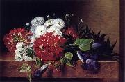 unknow artist Floral, beautiful classical still life of flowers.036 oil painting on canvas